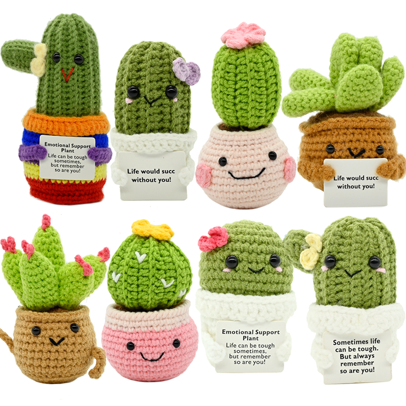 PlantSeries Positive Energy Cr - Cactus Mix Pot avis et prix