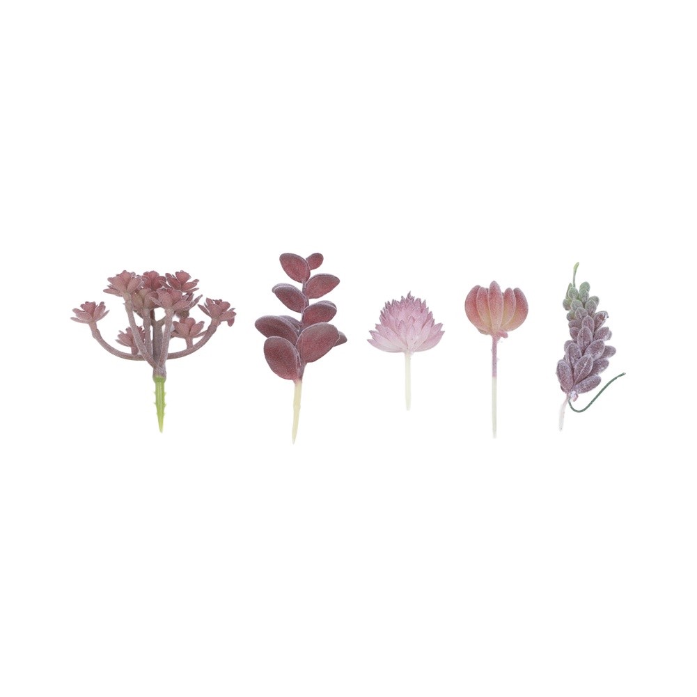 Contemporary For Mini Bonsai T - Succulent Arrangement Mini avis et prix