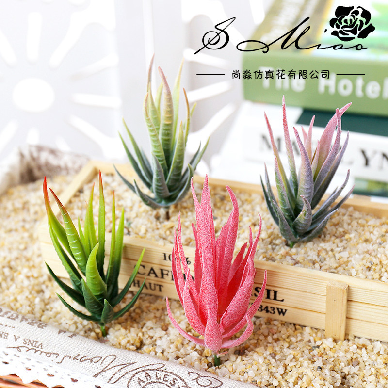 Wusmart Ban Ma Lu Hui Artifici - Succulent Arrangement Mini avis et prix