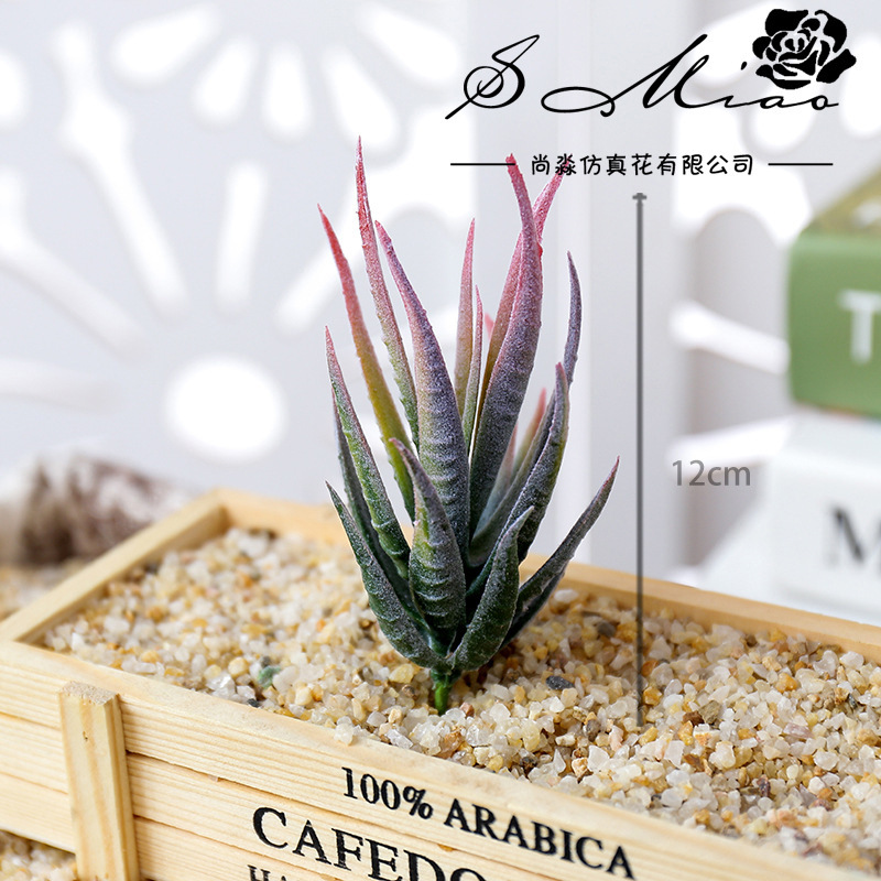 Wusmart Ban Ma Lu Hui Artifici - Succulent Arrangement Mini avis et prix
