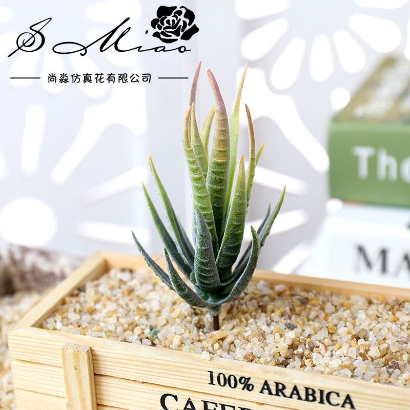 Wusmart Ban Ma Lu Hui Artifici - Succulent Arrangement Mini avis et prix