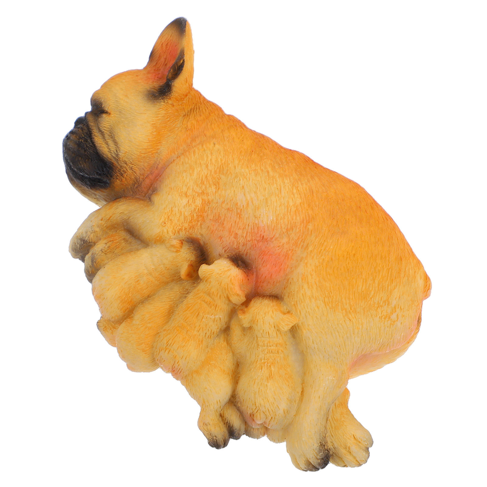 Realistic Mini French Bulldog  - Succulent Arrangement Mini avis et prix