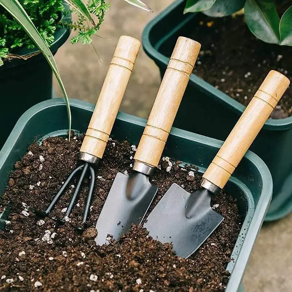 3Pcs/Set Mini Garden Tool Set  - Cactus Mix Pot avis et prix