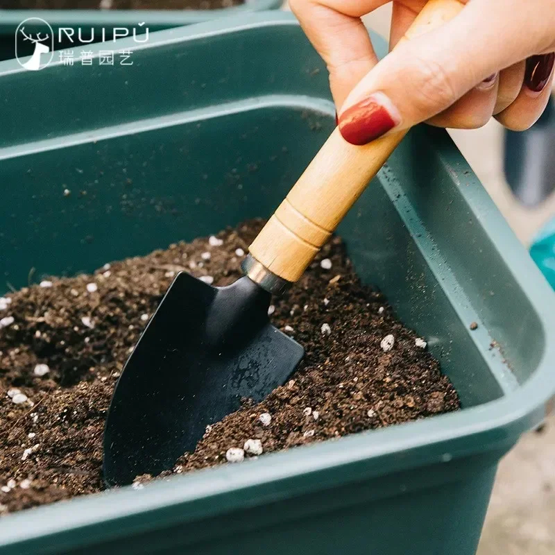 3Pcs/Set Mini Garden Tool Set  - Cactus Mix Pot avis et prix