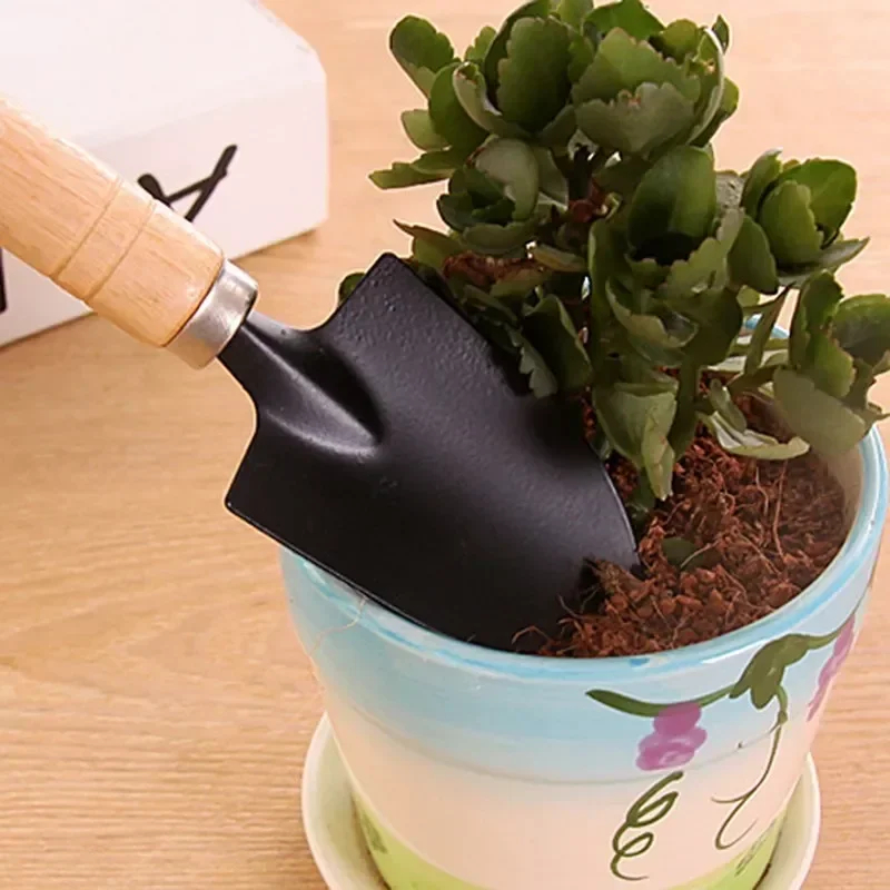 3Pcs/Set Mini Garden Tool Set  - Cactus Mix Pot avis et prix