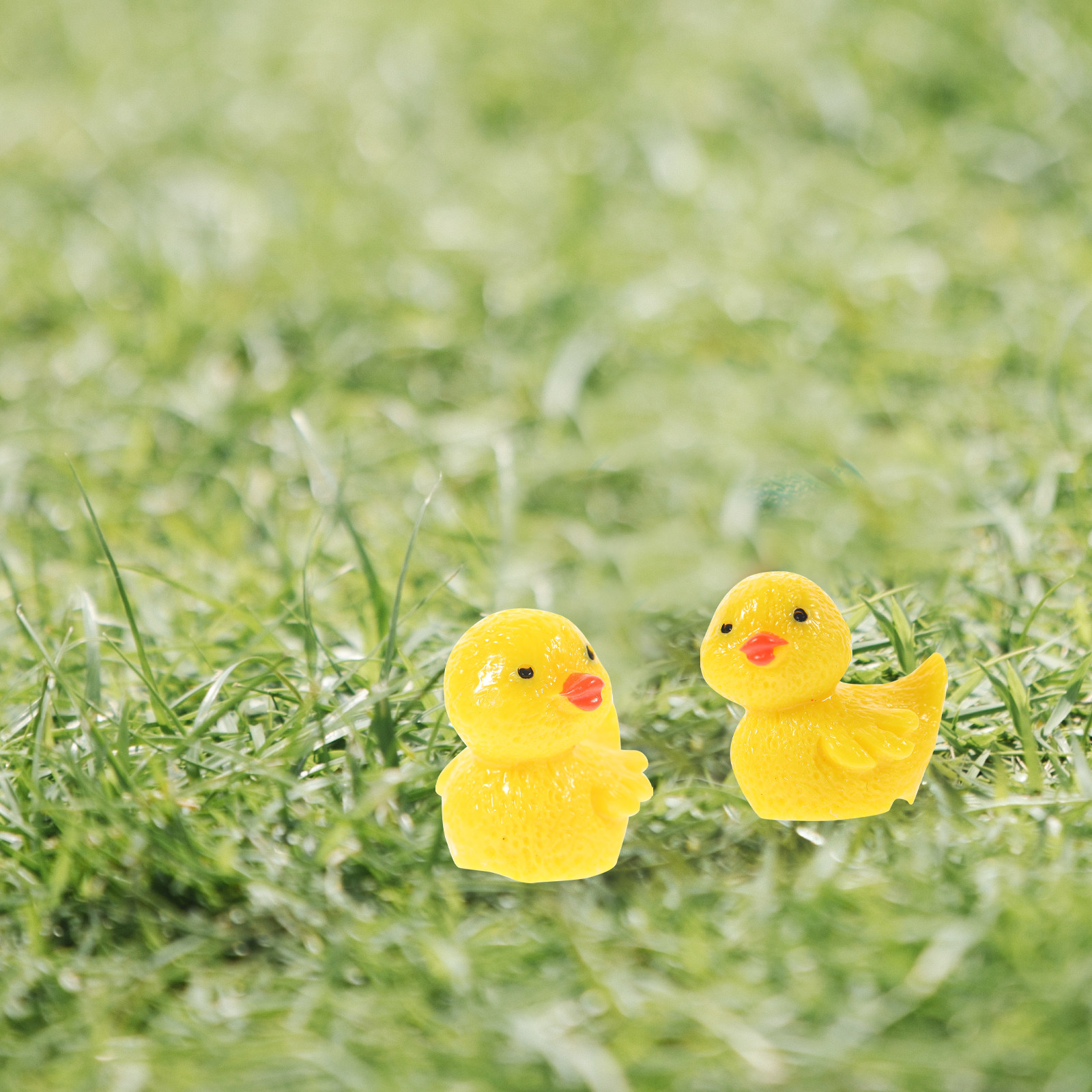 10Pcs Mini Resin Duck Ornament - Succulent Arrangement Mini avis et prix