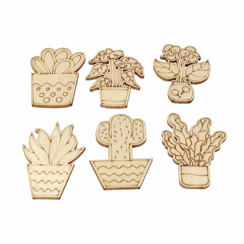 50PCS Mixed Styles Flower Cact - Cactus Mix Pot avis et prix