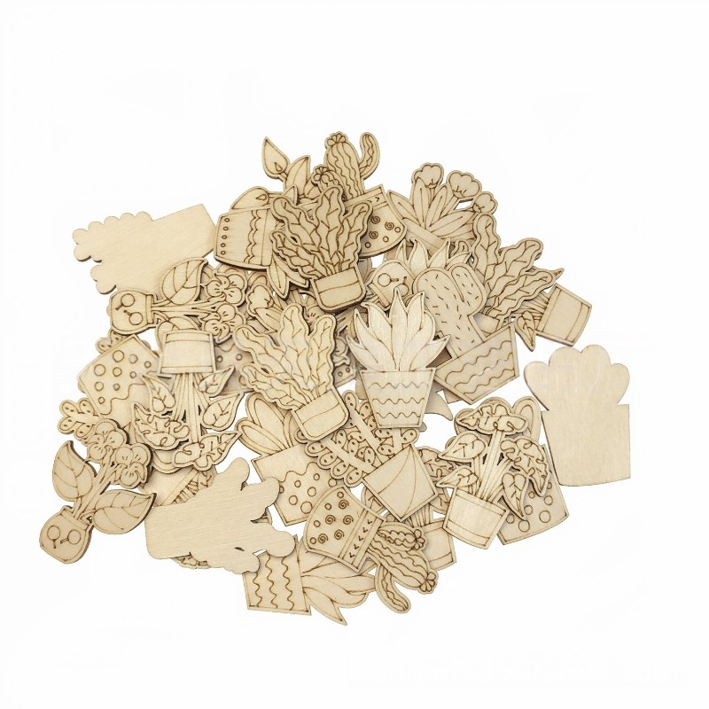 50PCS Mixed Styles Flower Cact - Cactus Mix Pot avis et prix