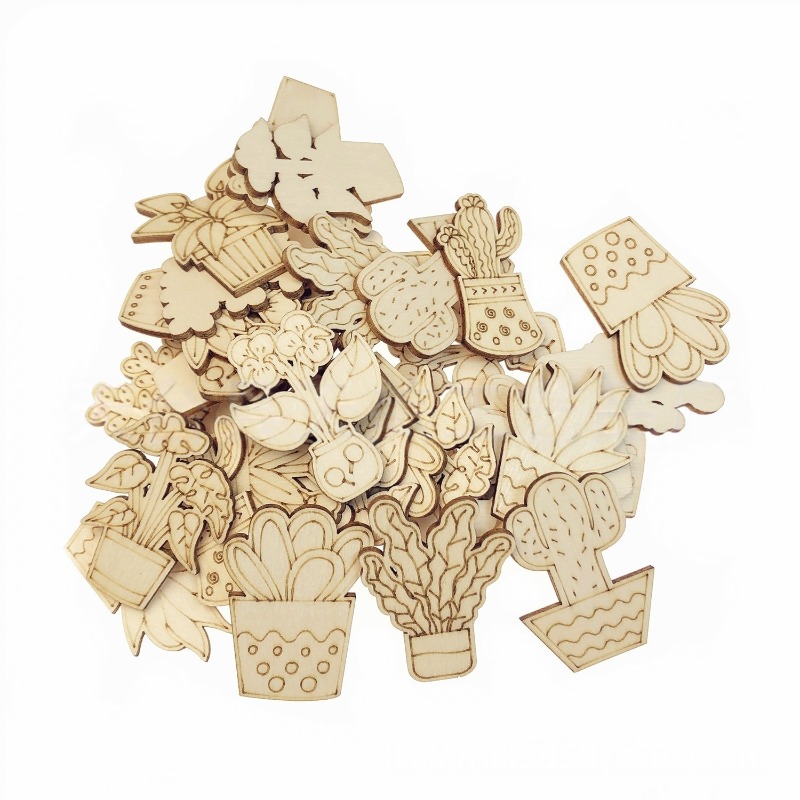 50PCS Mixed Styles Flower Cact - Cactus Mix Pot avis et prix